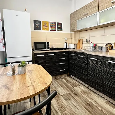 Apartament Black Lotus 1 I Downtown I Free Parking I 24hr Access